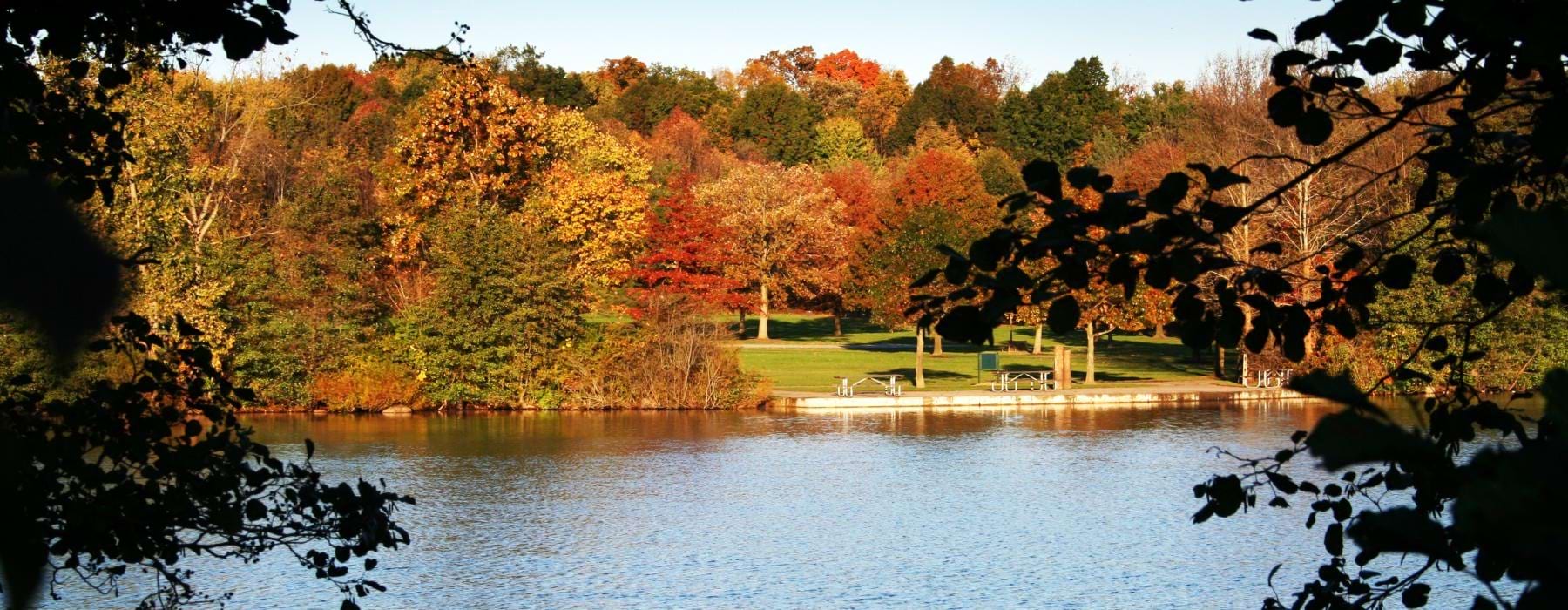 a body of water with trees around it