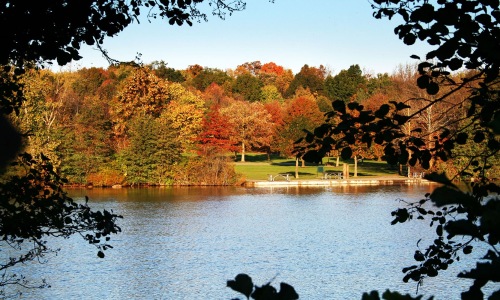 fall leaves on trees overlooking lake