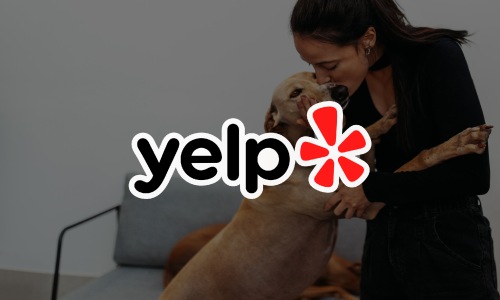 Yelp